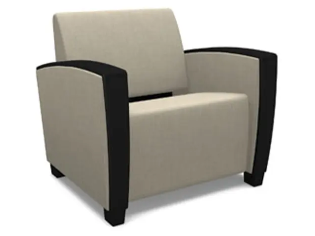 Bariatric Chair - SWS Group