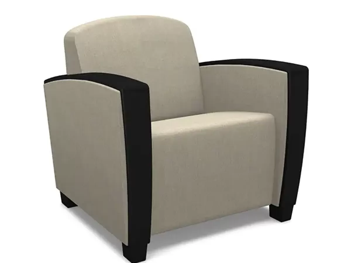 Modern Lounge Arm Chair - SWS Group